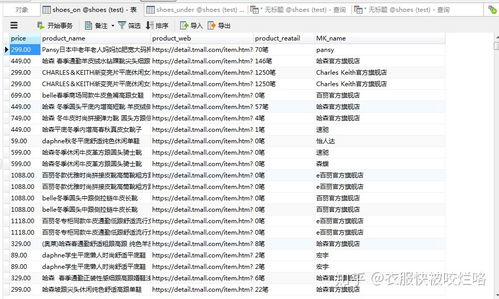 女鞋市場(chǎng)調(diào)查技術(shù)咨詢(xún) 洞察趨勢(shì)與優(yōu)化決策